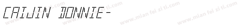 CAIJIN Donnie字体转换